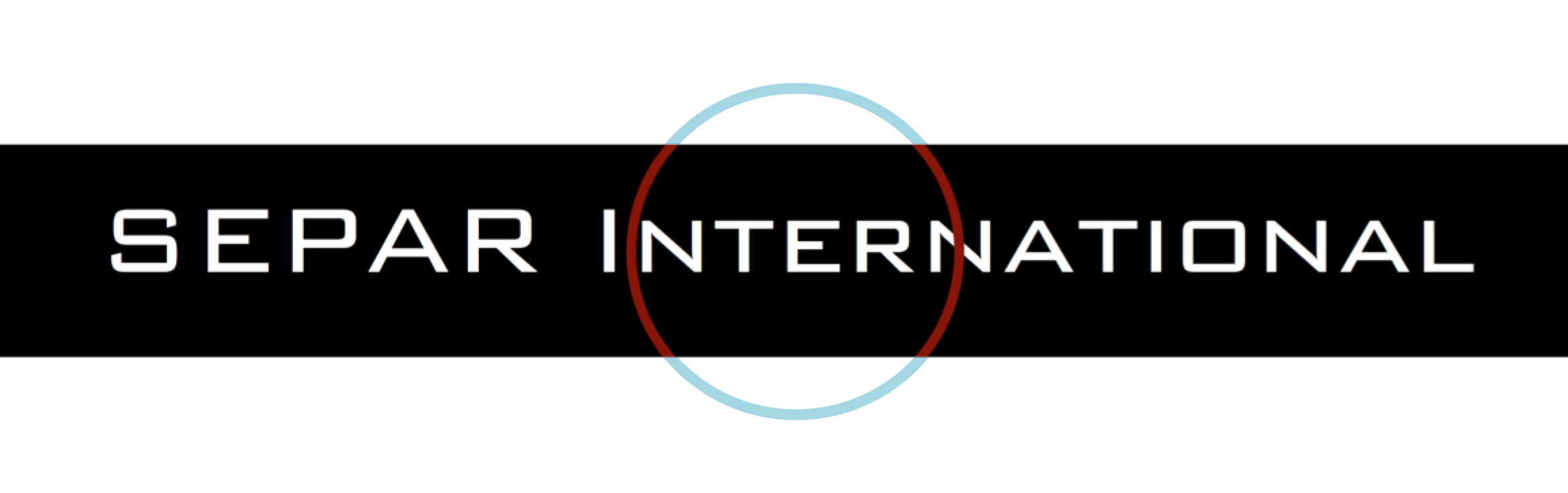 SEPAR International Group logo